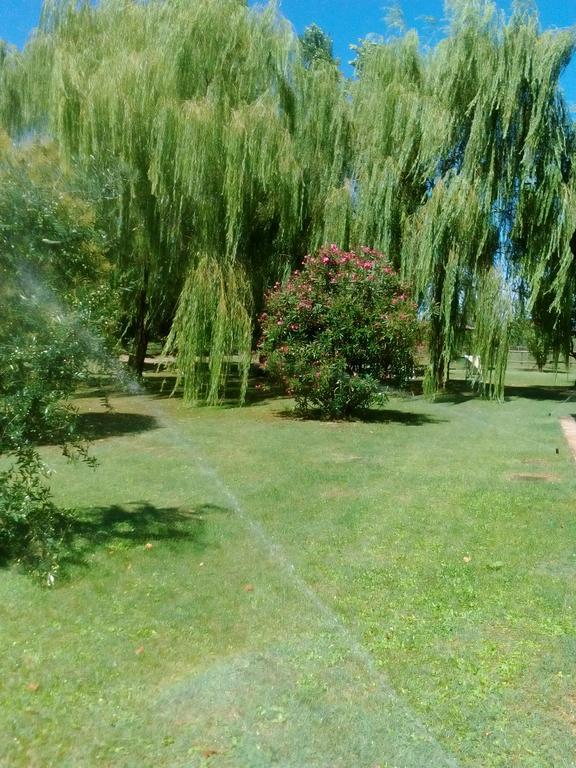 Agriturismo I Bosconi Cesena Bagian luar foto